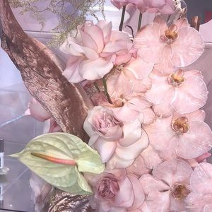 Meet your Posher, Ava